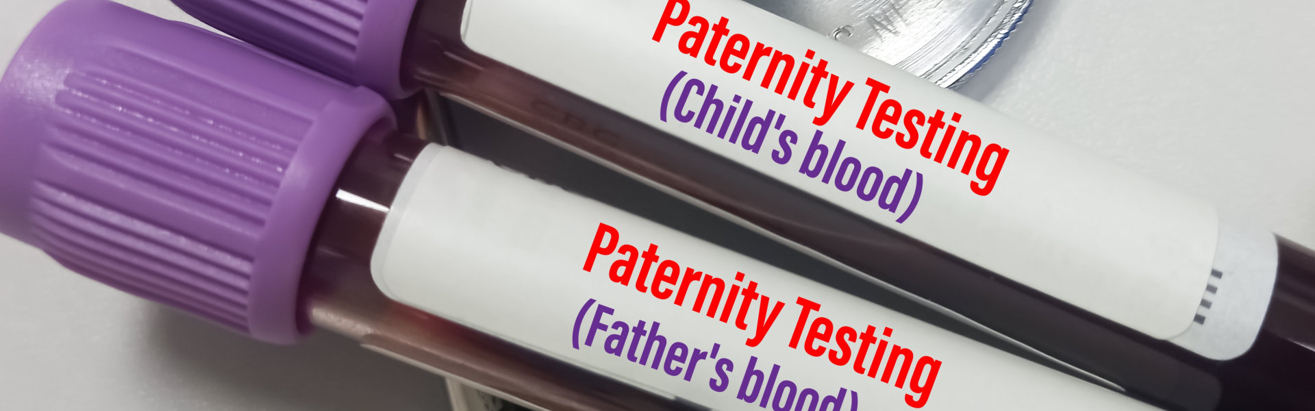blood samples in a tube